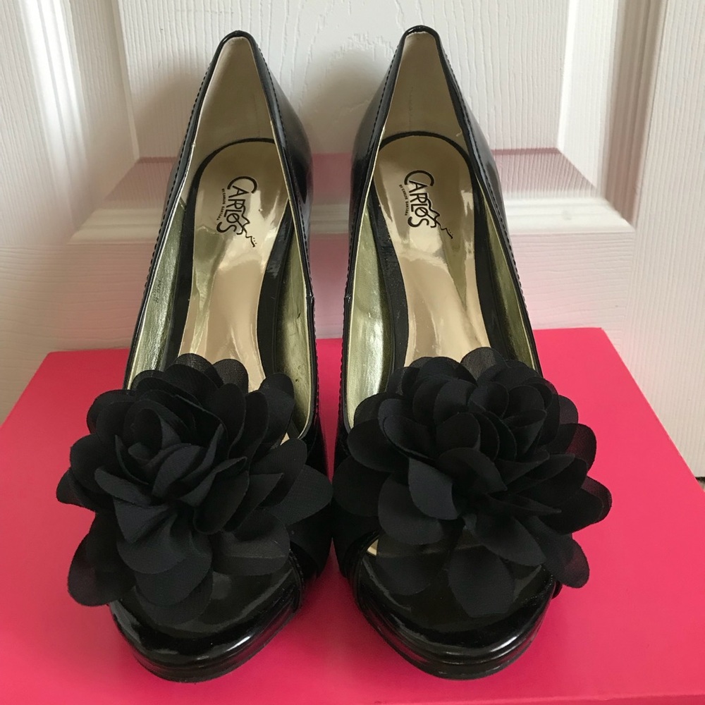 Carlos Santana Cupcake Pumps